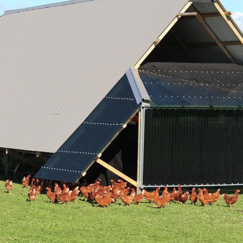 'Perfectly Imperfect' Chooks at the Rooke Whole Chicken